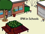 IPM in schools DVDs