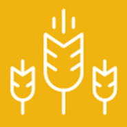 Small Grain Production Pt 9: Pest Management -- Weeds