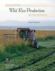 Cultivated Wild Rice Production In California