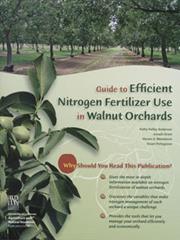 Guide to Efficient Nitrogen Fertilizer Use in Walnut Orchards