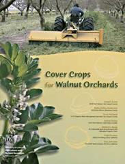Cover Crops for Walnut Orchards
