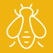 Bee Alert: Africanized Honey Bee Facts 
