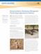 Burrowing Rodents: Developing a Management Plan for Organic Agriculture in CA
