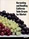 Harvesting and Handling California Table Grapes for Market