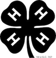 Welcoming Culturally Diverse Youth into 4-H: A Handbook for 4-H Professionals