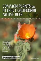 Common Plants to Attract California Native Bees
