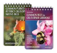 Common Bees and Common Plants Card Set Bundle