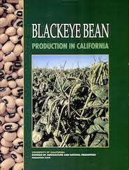 Blackeye Bean Production in California