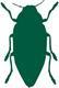 Bark Beetles: Pest Notes for Home and Landscape