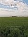 Integrated Pest Management for Rice --Third Edition