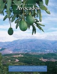 Integrated Pest Management for Avocados