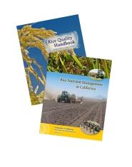 Rice Quality and Rice Nutrient Management Package