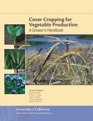 Cover Cropping for Vegetable Production