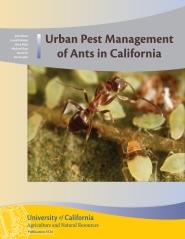 Urban Pest Management of Ants in California