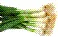 Green Onions