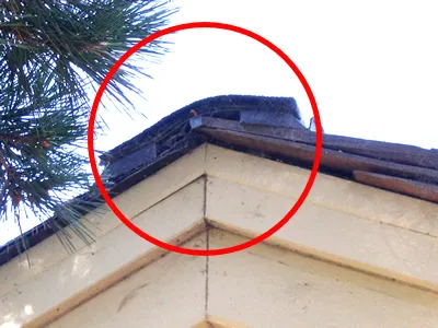 Ridge_Vent_79168circle