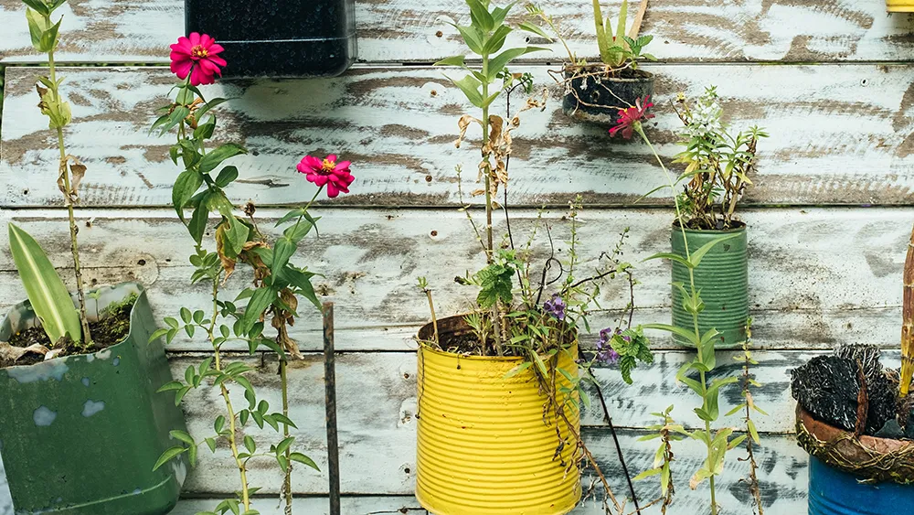 There are so many ways to minimize waste, send less to landfill, save time and money. Bernard Hemant, Unsplash