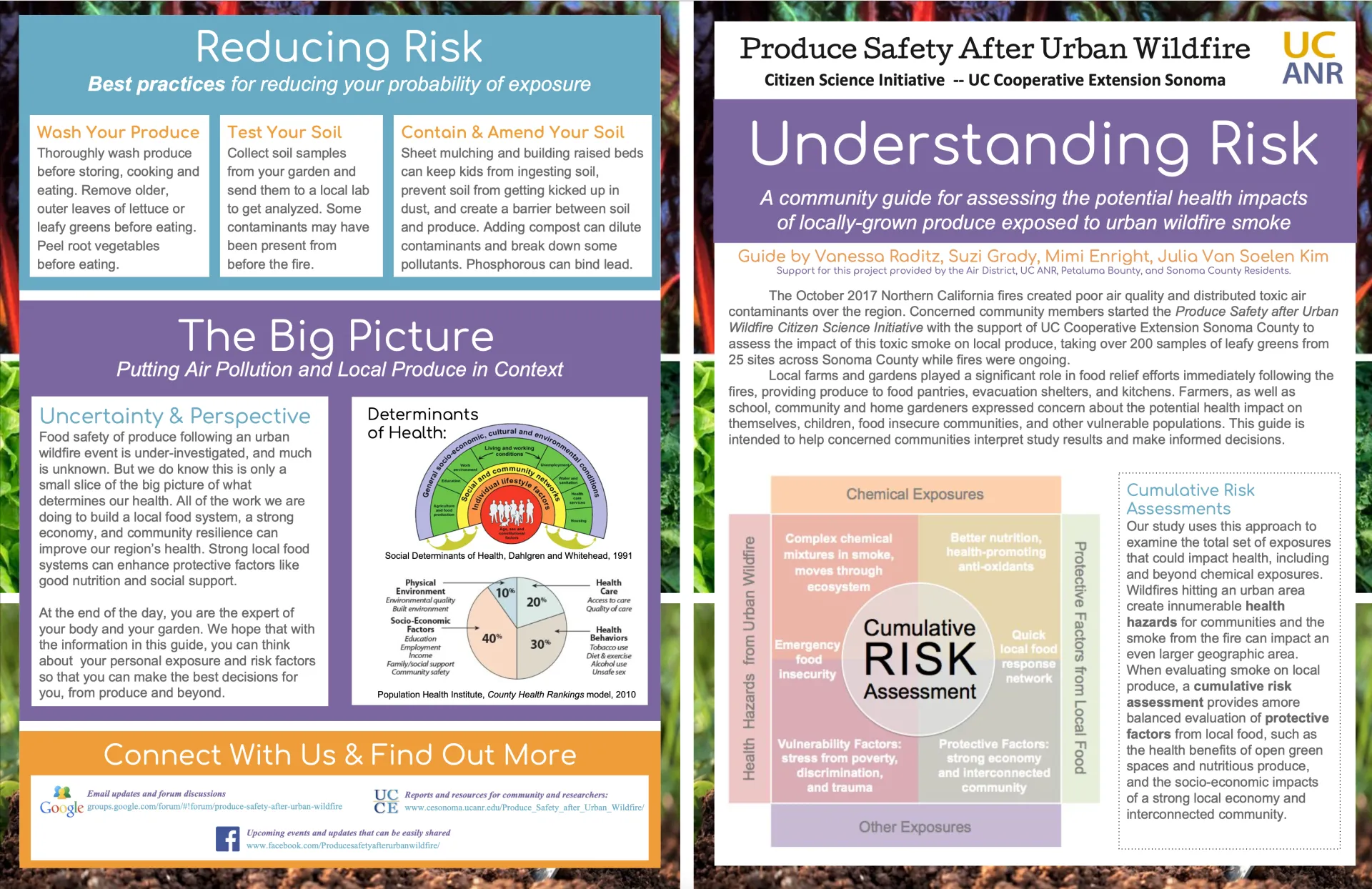 Click above to read a UC-ANR publication on understanding produce safety risks after wildfires