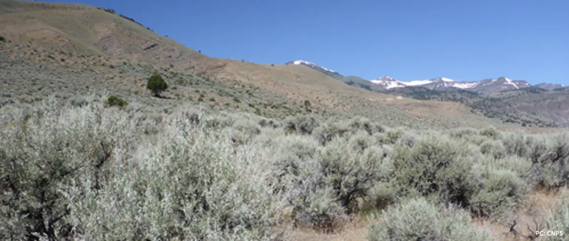 Northeastern Plateau