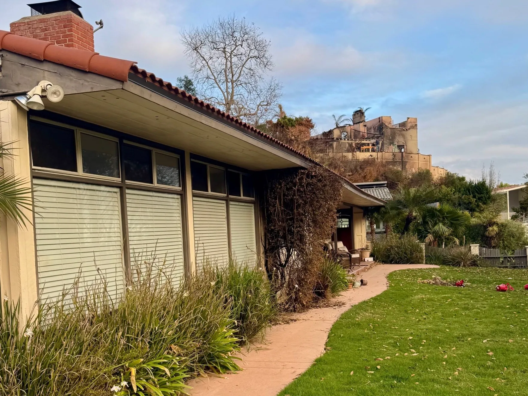 A house that survived despite vegetation close to the structure