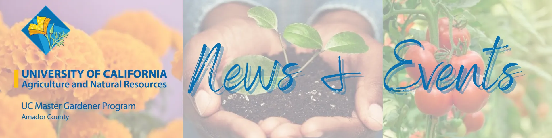 Master Gardener Newsletter Header (Amador)