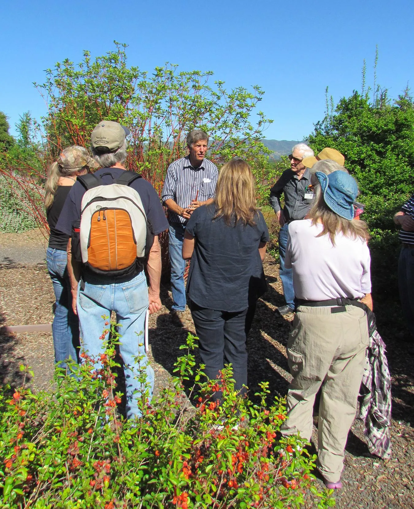Jim Xerogeanes teaching the 2015 Master Gardener class about propagation. Photo: Elizabeth Petersen