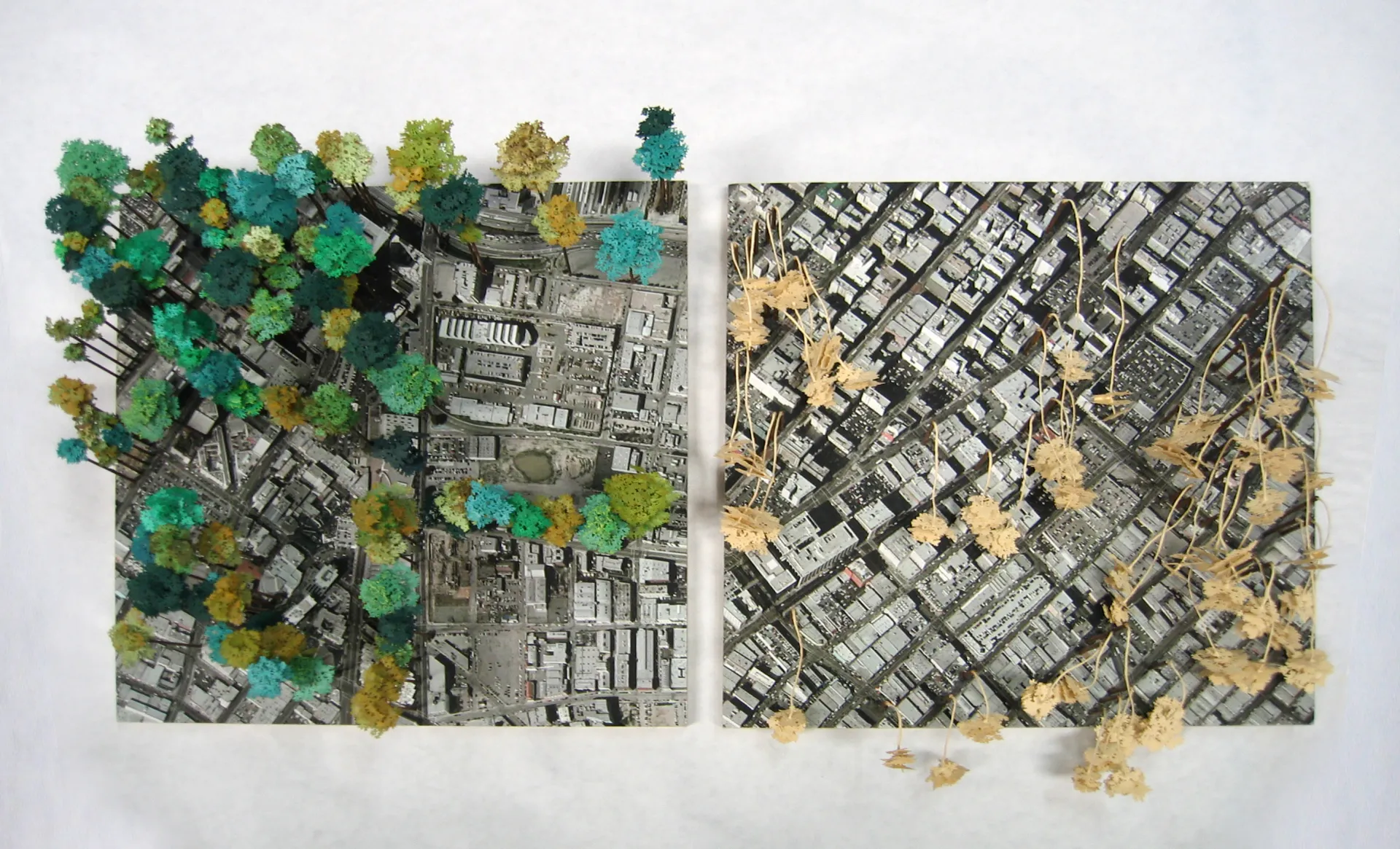 A piece of artwork by Kim Abeles of trees on a city map.