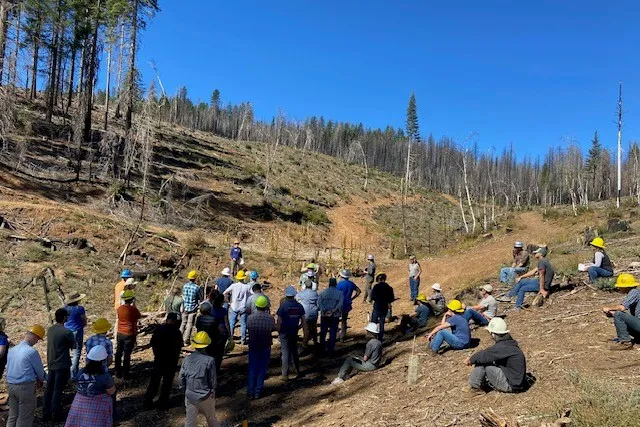 Field tour in post-fire area