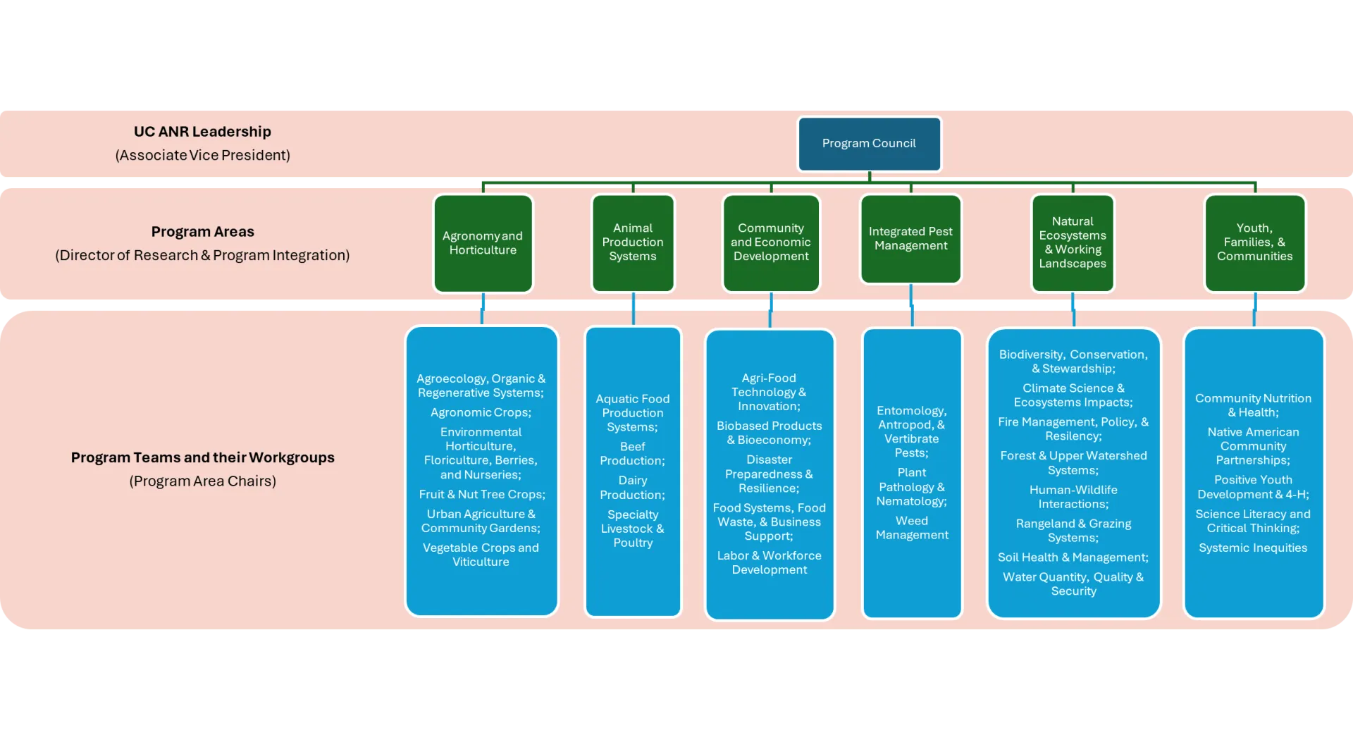 Flowchart depicting UC ANR Leadership hierarchy. Includes categories: Agronomy, Animal Systems, Community Development, Pest Management, Ecosystems, and Youth Programs.