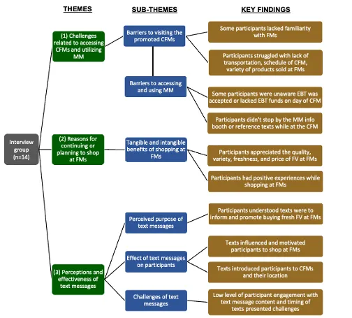Flow chart of major themes, subthemes and key findings from participant interviews as described later in this report.