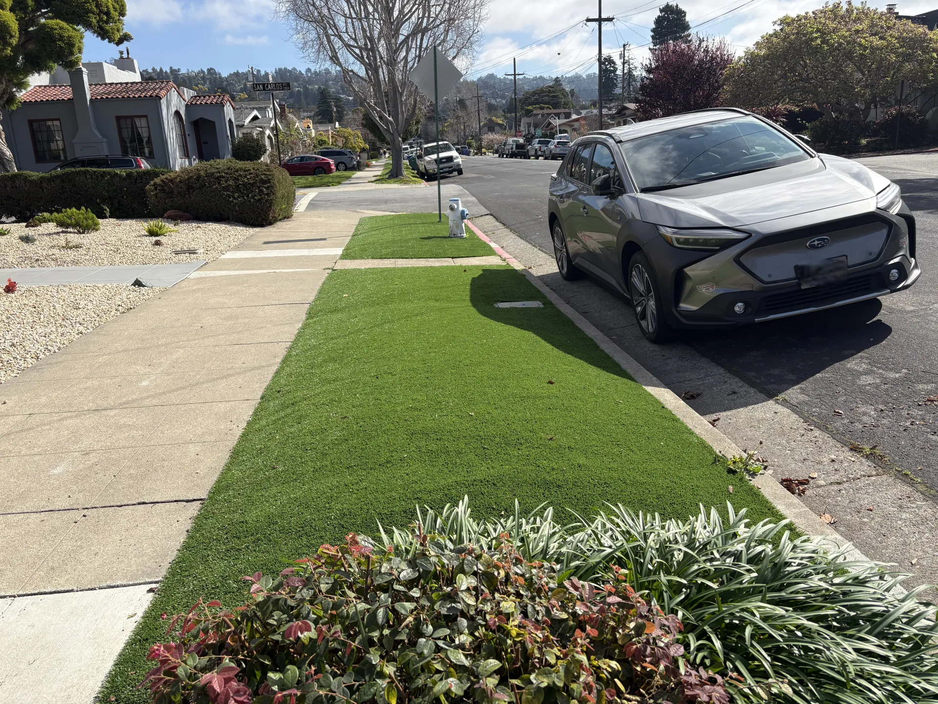 sidewalk planting strip covered with artificial turf