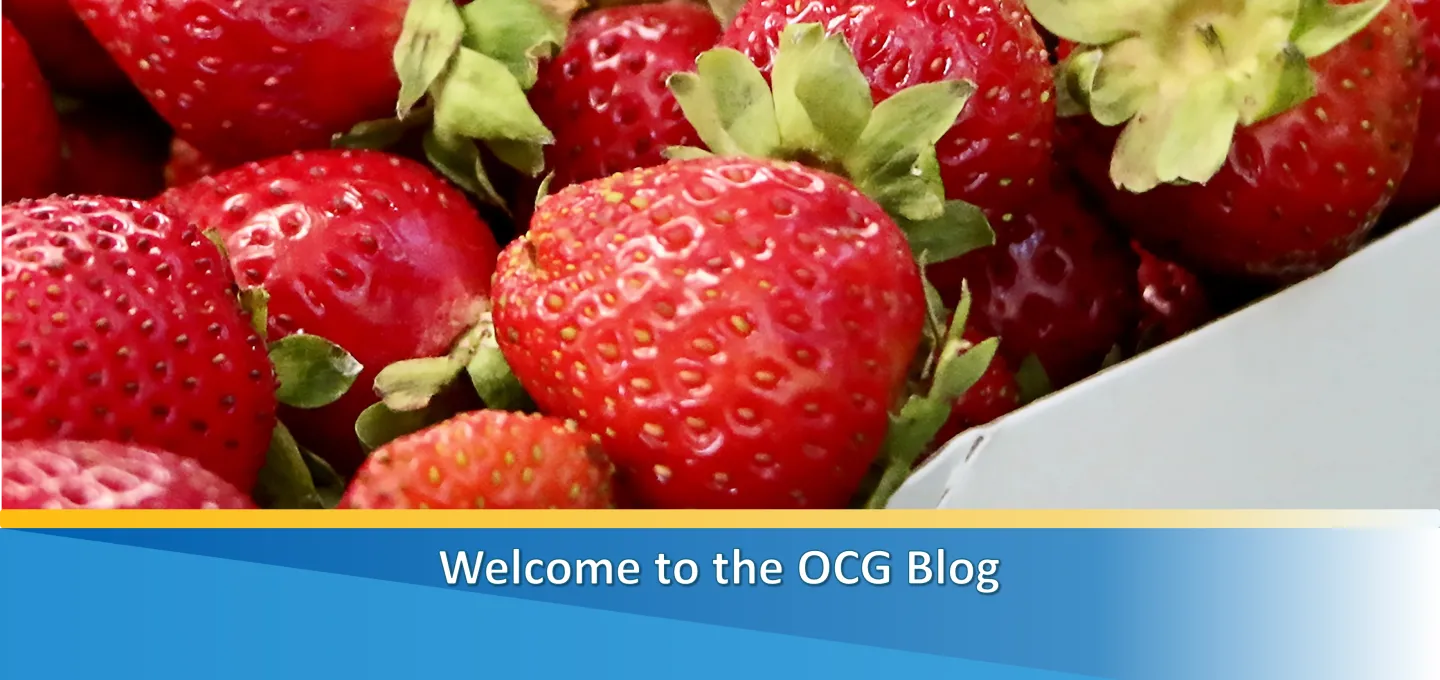 Welcome to the OCG Blog