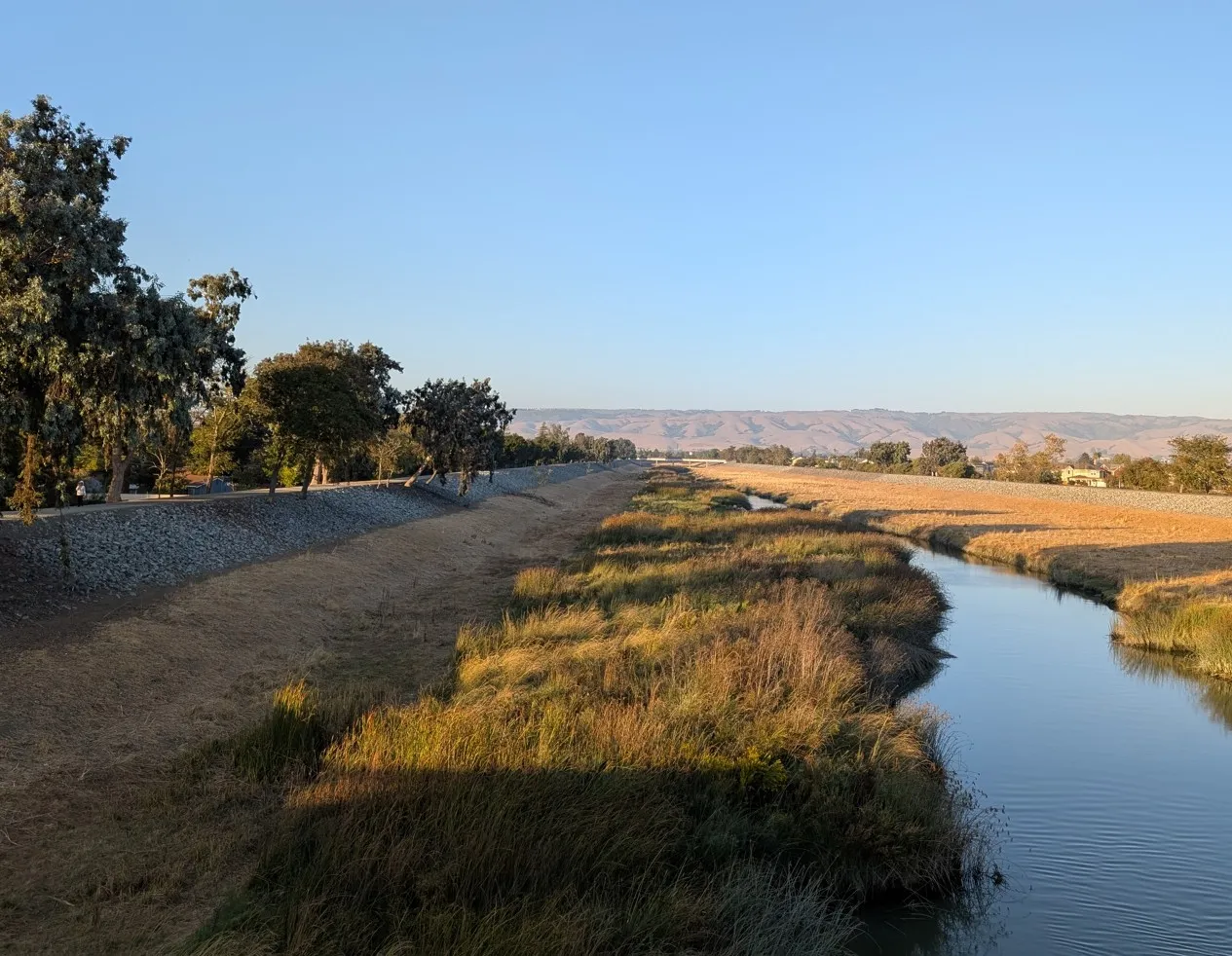 Coyote Hills - East Bay