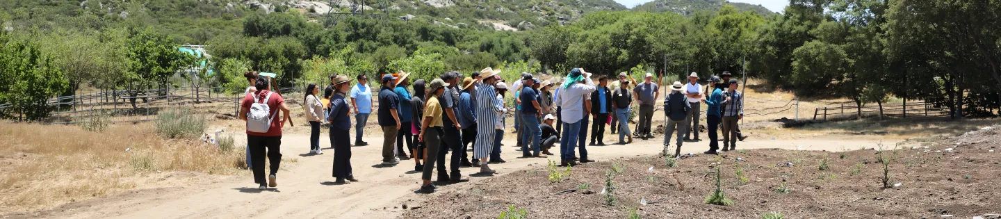 Agave Workshop Group