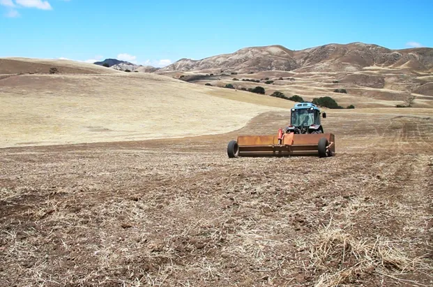 Photo courtesy Kelly Mulville, Paicines Ranch