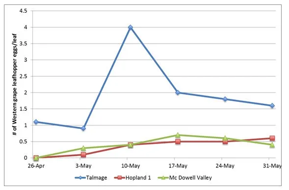 WGLH eggs per leaf 5 31