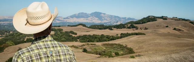 20742430405_1492863e7c_k