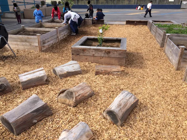Children talking amongst themselves while on seated on and looking into the planters with children on the concrete in the background.