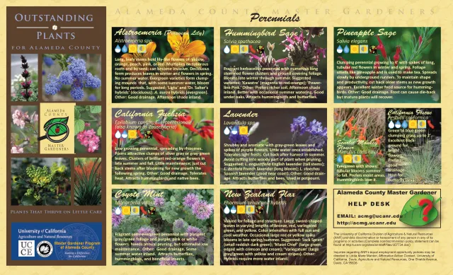 outstand plants for Alameda County_web_04302021_Page_2