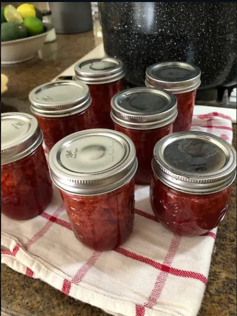 Processed jars cooling on kitchen counter