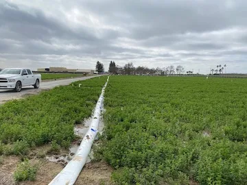 Khaled groundwater recharge 2(1)