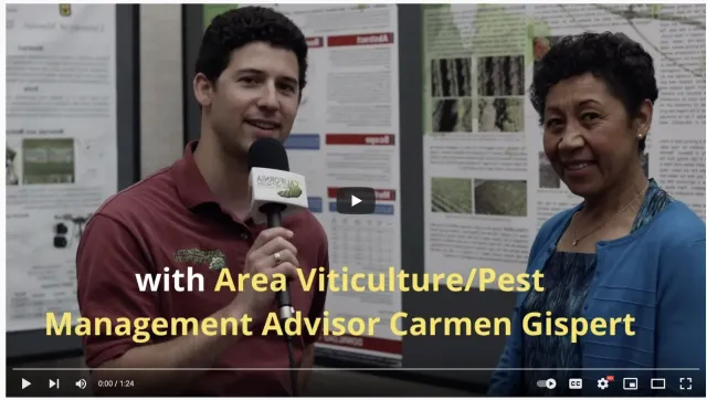 Screen Shot 2021-11-01 at 2.42.20 PM