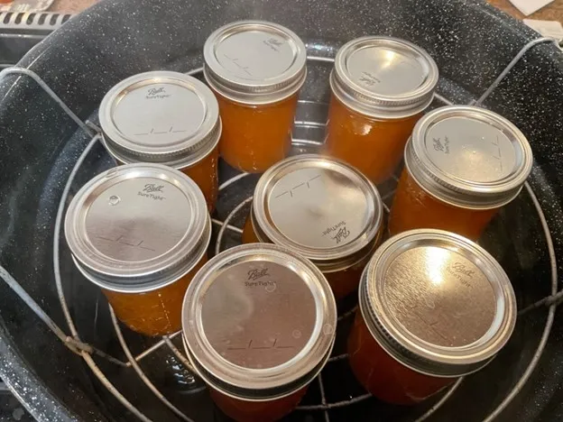 Jars on Canning Rack in Water Bath Canner