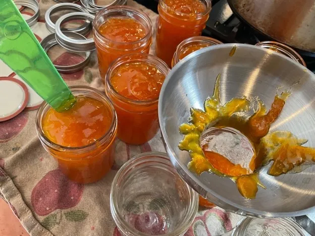 Ladling Hot Jam into Jars