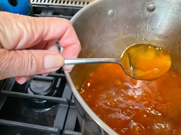 Sheet Testing Jam on Spoon