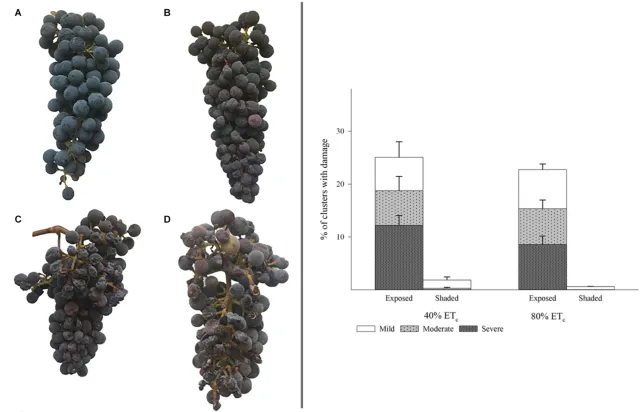 Screen Shot 2022-08-31 at 4.11.09 PM