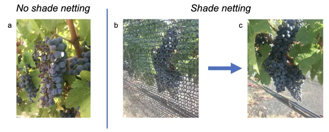 Screen Shot 2022-08-31 at 3.44.06 PM