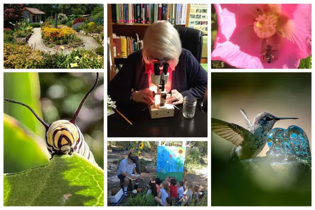 MG photo collage 1 for MG of CS site