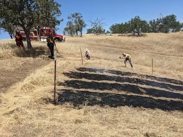 PXL_20220519_194025963.MP