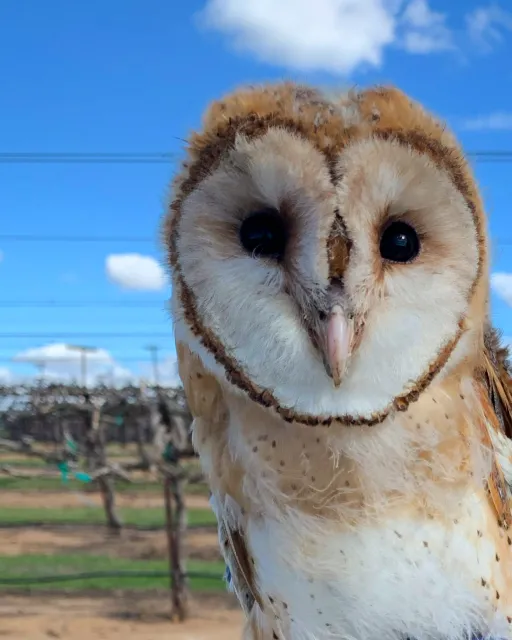 E76D67C9-D4FA-4336-A2D0-00E2FFBB14AF